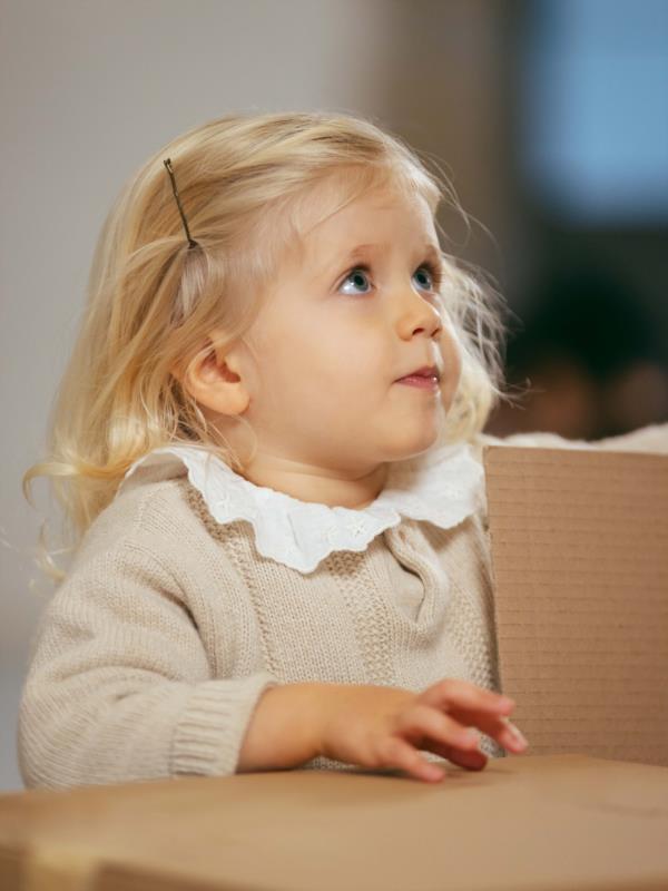 Blusa de muselina con cuello de volante bordado