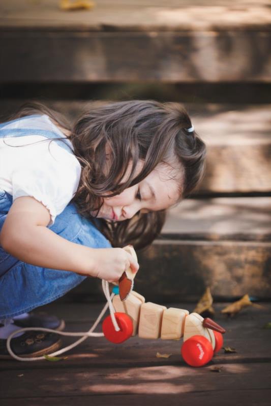 CACHORRO FELIZ PLANTOYS