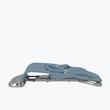 Ergobaby Evolve 3-in-1 Bouncer