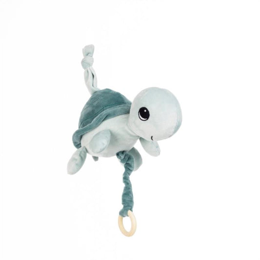 BABY TORTUGA SURT. MUSICAL 18 CM