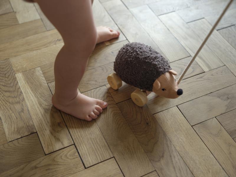 Pull Toy - Hannah Hedgehog - vista alternativa