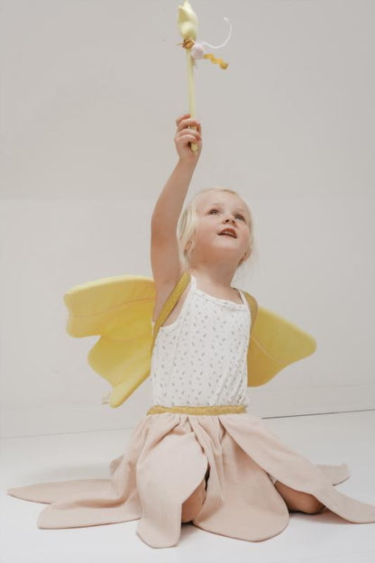 Dress-up - Fairy 3-5y - packaging