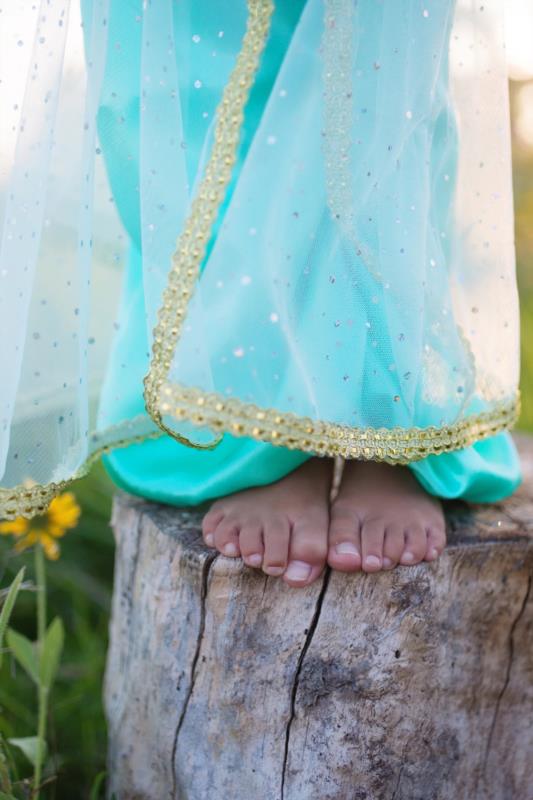 Disfraz Jasmine 5-6 - detalle 2