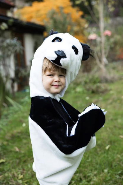 Difraz Panda 2-3 - detalle 2