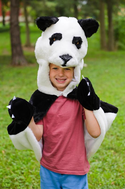 Difraz Panda 2-3 - detalle 3