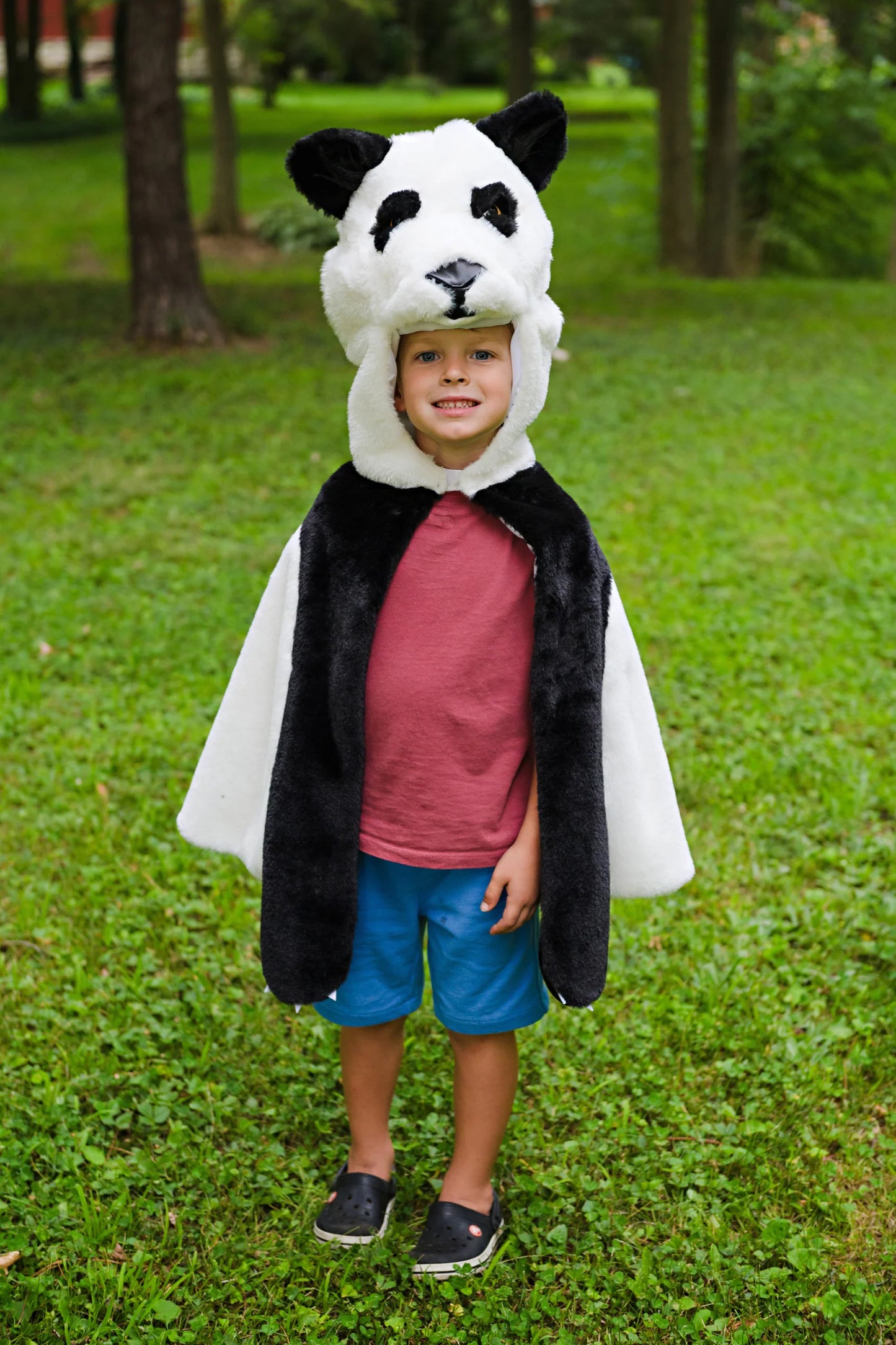 Difraz Panda 2-3 - en uso