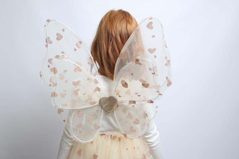 Alas de hada Anaisa (corazones)