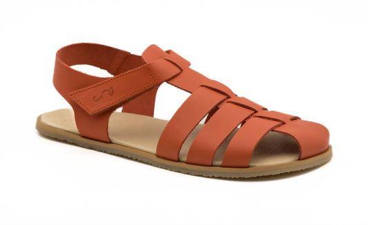 Liberty 180-LI  Box Teja