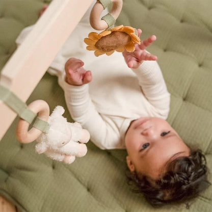 BABYGYM CON JUGUETES PEQUEÑA GRANJA LITTLE DUTCH