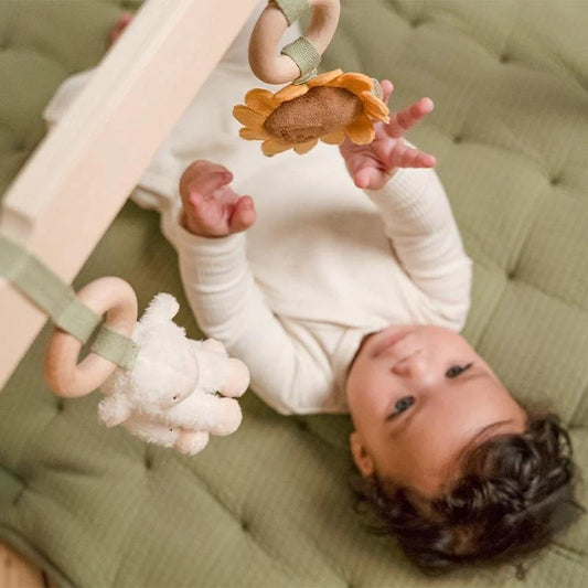 BABYGYM CON JUGUETES PEQUEÑA GRANJA LITTLE DUTCH