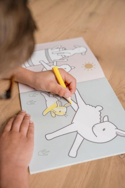 LIBRO PARA COLOREAR PEQUEÑA GRANJA LITTL