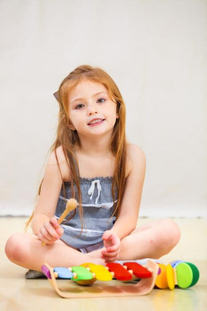 XILÓFONO OVALADO PLANTOYS