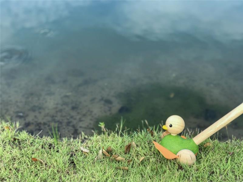 PASEA AL PATO PLANTOYS