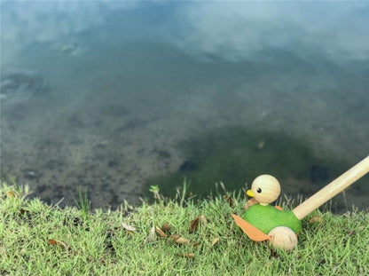 PASEA AL PATO PLANTOYS