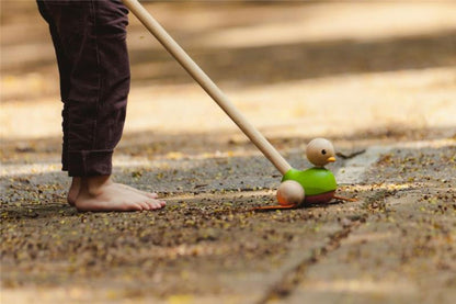 PASEA AL PATO PLANTOYS