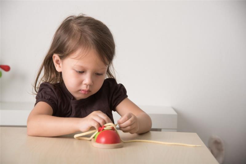 ATA EL ZAPATO PLANTOYS