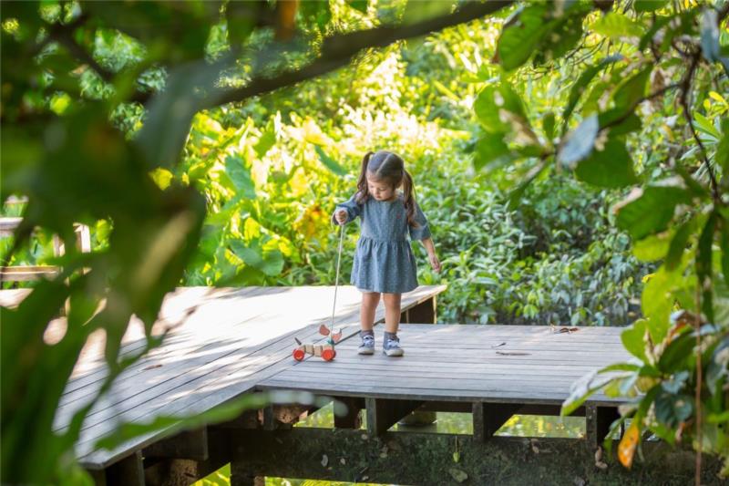 CACHORRO FELIZ PLANTOYS