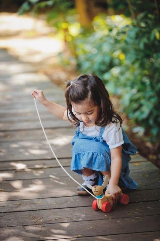 CACHORRO FELIZ PLANTOYS