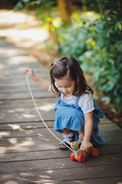 CACHORRO FELIZ PLANTOYS