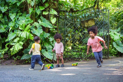 COCODRILO ARCO IRIS PLANTOYS