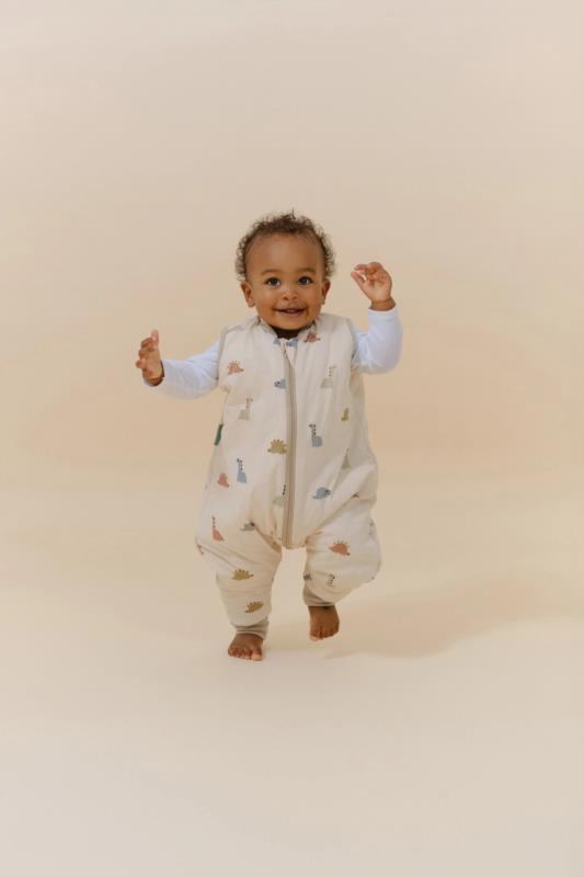 PIJAMA MANTA DINOS 2.5 2Y