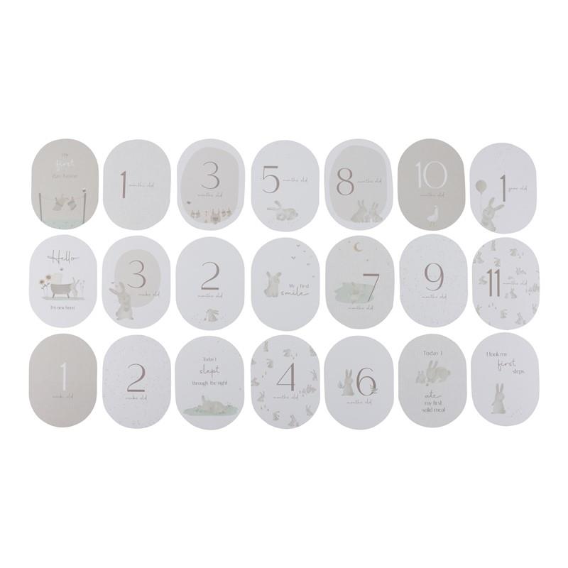 TARJETAS MILESTONE BABY BUNNY FSC LITTLE DUTCH