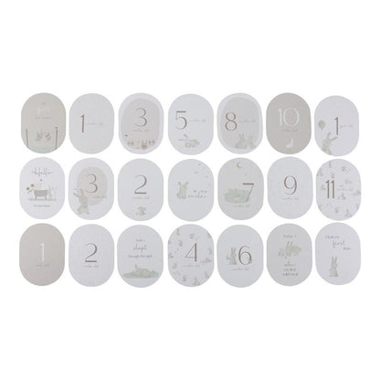 TARJETAS MILESTONE BABY BUNNY FSC LITTLE DUTCH