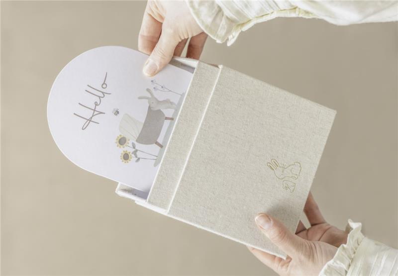 TARJETAS MILESTONE BABY BUNNY FSC LITTLE DUTCH