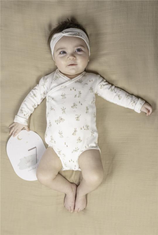 TARJETAS MILESTONE BABY BUNNY FSC LITTLE DUTCH - en uso