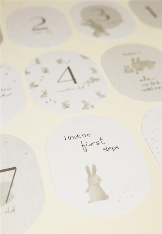 TARJETAS MILESTONE BABY BUNNY FSC LITTLE DUTCH - en uso 2