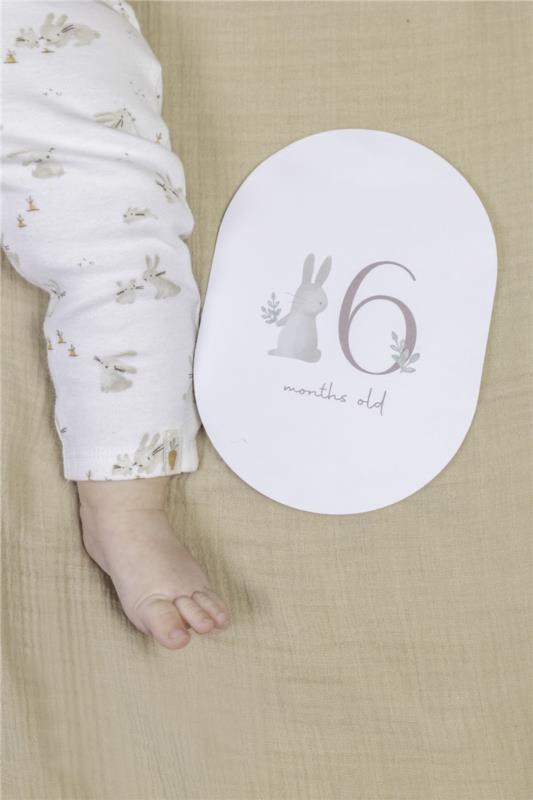 TARJETAS MILESTONE BABY BUNNY FSC LITTLE DUTCH