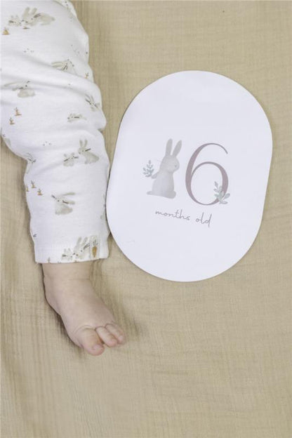 TARJETAS MILESTONE BABY BUNNY FSC LITTLE DUTCH