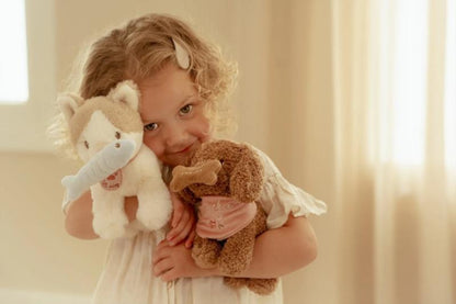 PERRITO PELUCHE JACKIE CON BOLSA LITTLE DUTCH - medidas