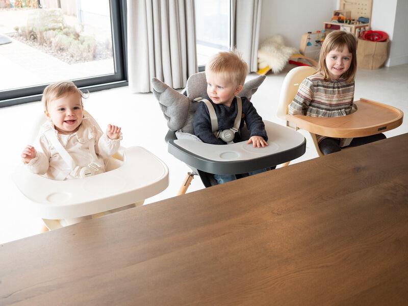 TRONA MADERA EVOLU 2