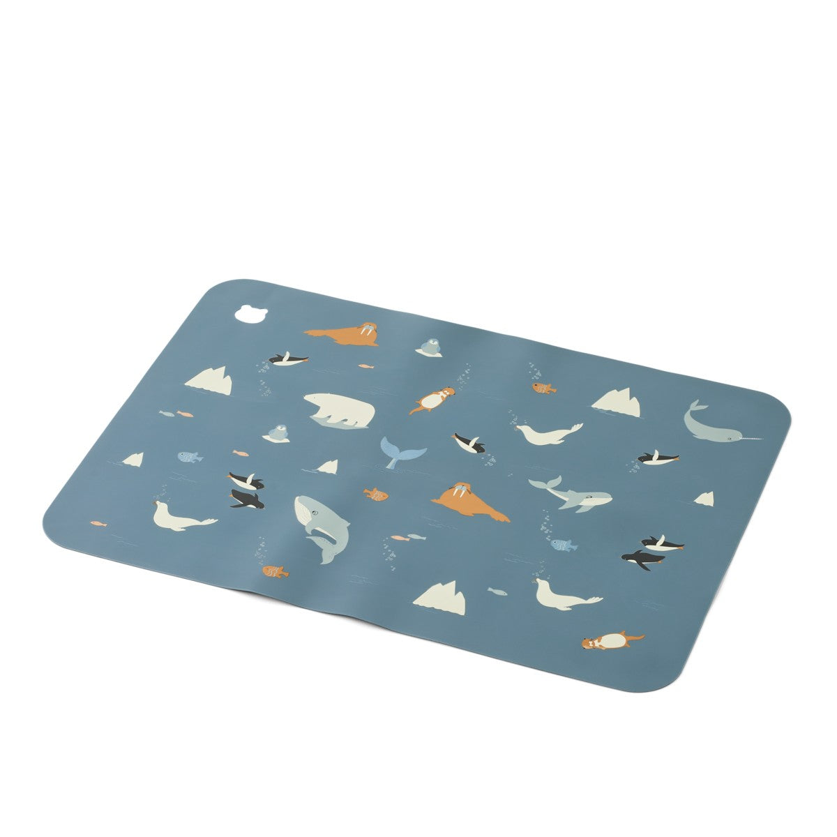 Jude Printed Placemat - Arctic Sea / Ocean view